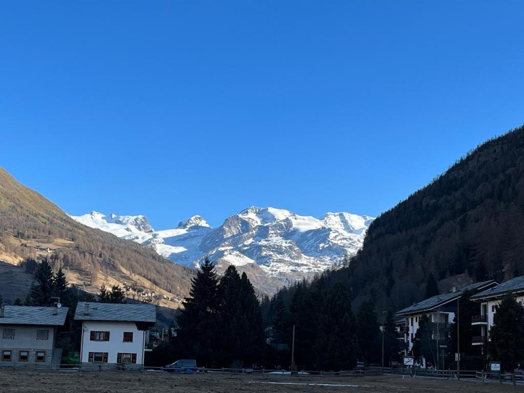 The Snow - Appartamento Panoramico Con Balcone Champoluc Dış mekan fotoğraf